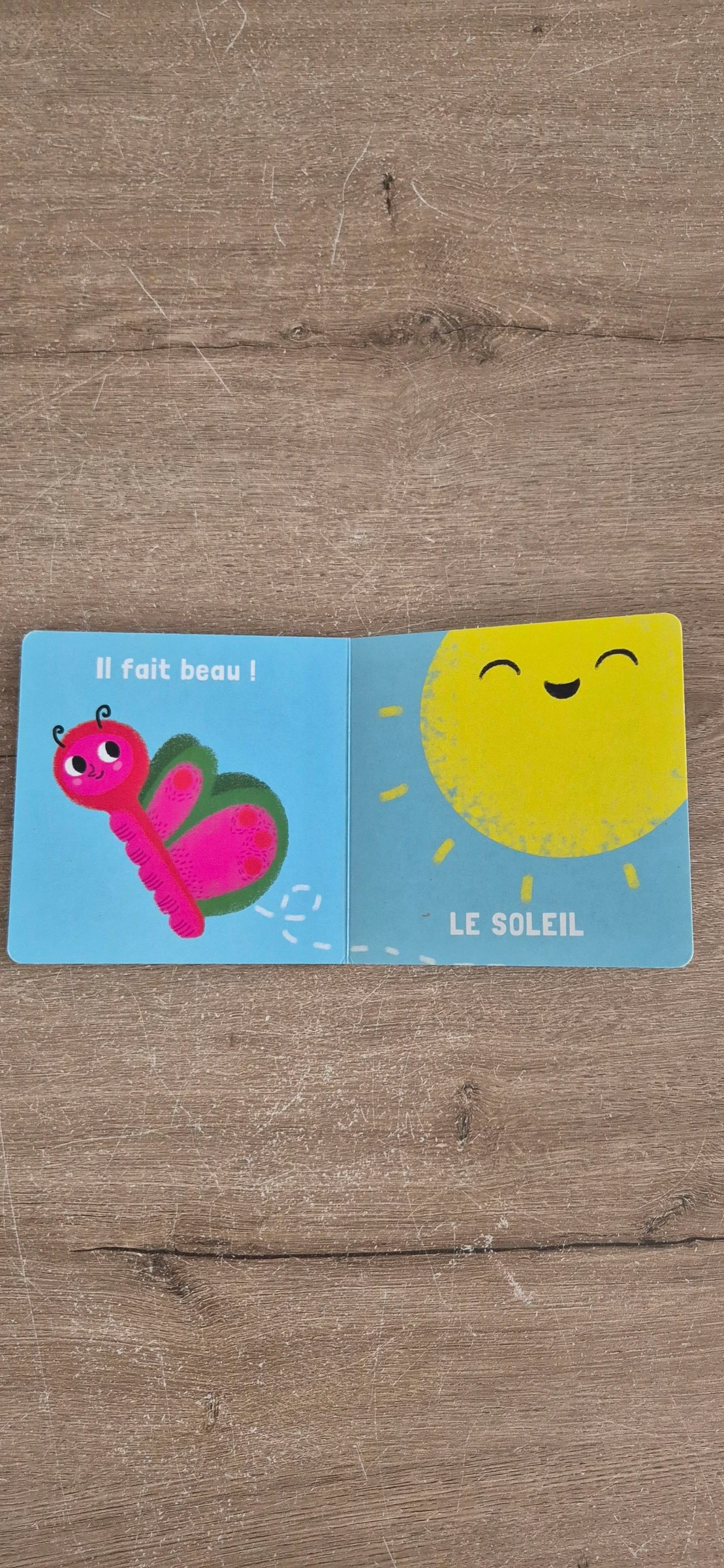 Livre Le temps qu'il fait  – photo 5